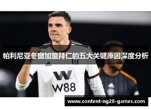 帕利尼亚冬窗加盟拜仁的五大关键原因深度分析