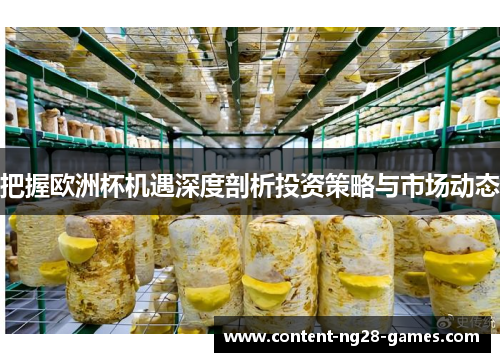把握欧洲杯机遇深度剖析投资策略与市场动态